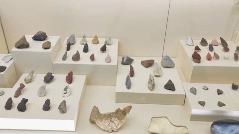 The first ancient tools of primitive man found during archaeological excavations Stock Footage 246537284