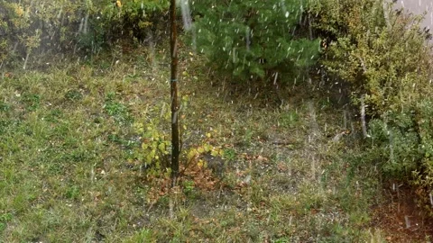 The first autumn snowfall. Snowflakes gently fall among the autumn leaves, Stock Footage 291943103