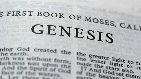 The First Book Of Genesis 4 스톡 동영상 49630498