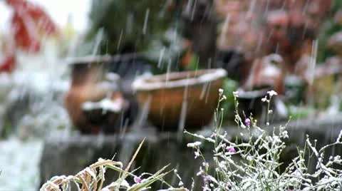 First breath of winter Stock Footage 22436717