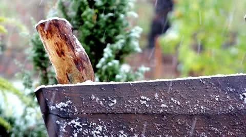 First breath of winter,snowfall Stock-Footage 22440495