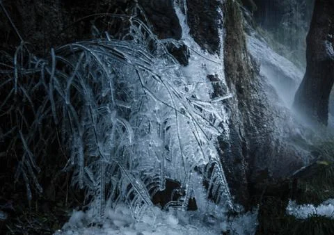 First cold Foto stock