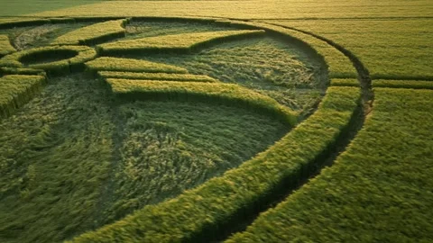First Crop Circle of 2023, Close-Up R to L Drone Clip, Wiltshire, UK, 28 May 4K Stock-Footage 242627079