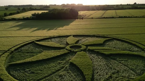 First Crop Circle of 2023, Divine Drone Clip, Wiltshire, UK, 28 May 4K Stock Footage 242605624