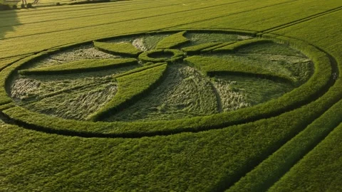 First Crop Circle of 2023, Drone View,, Broad Hinton, Wiltshire, UK, 28 May 4K Stock-Footage 242536438