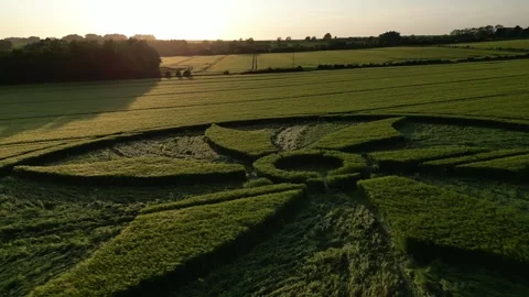 First Crop Circle of 2023, Low Glide Drone Clip, Wiltshire, UK, 28 May 4K Stock Footage 242621407