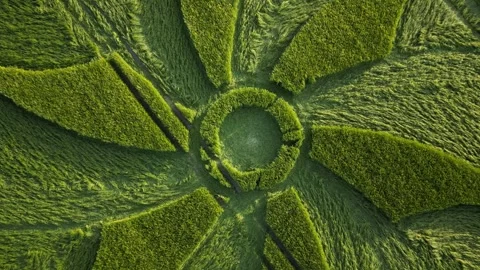 First Crop Circle of 2023, Rising Drone Clip, Wiltshire, UK, 28 May 4K Stock Footage 242542245