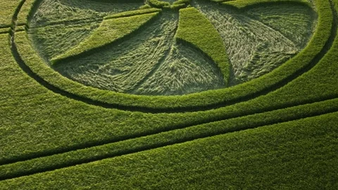 First Crop Circle of 2023, Stunning Drone Clip, Wiltshire, UK, 28 May 4K Stock Footage 242603930