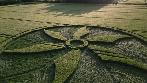 First Crop Circle of 2023, Sunset Drone Clip, Wiltshire, UK, 28 May 4K Stock Footage 242542982