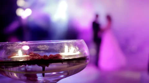 First dance after the wedding ceremony 2 Stock Footage 24466589
