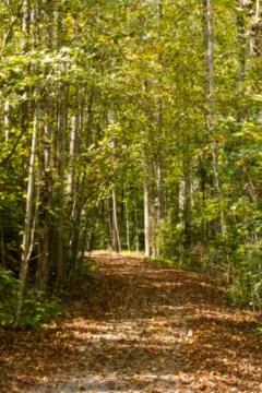 First Day of Fall Glows Foto stock