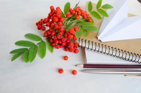 First day of school theme. Stock Photos