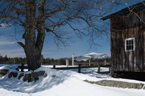 First Day of Spring Stock Photos