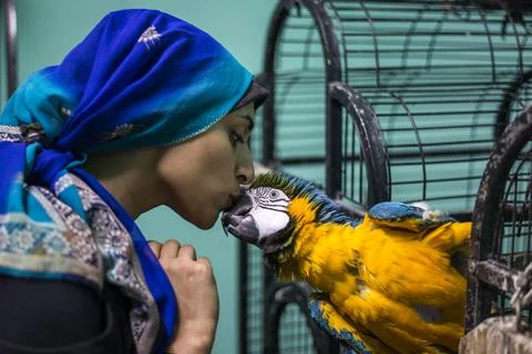 First dedicated parrot training academy, Cairo, Egypt - 08 Aug 2019 Foto stock