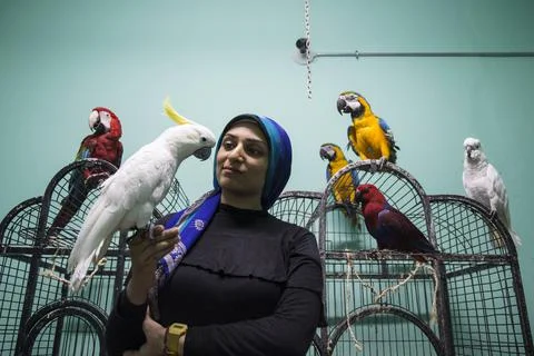 First dedicated parrot training academy, Cairo, Egypt - 08 Aug 2019 Stock Photos