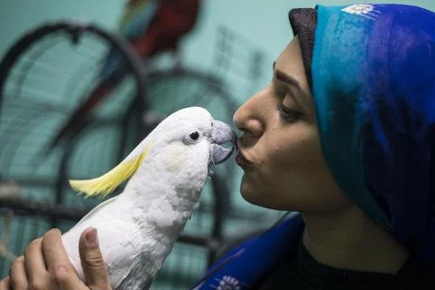 First dedicated parrot training academy, Cairo, Egypt - 08 Aug 2019 Stock Photos
