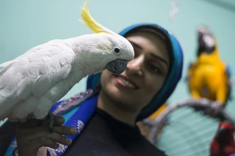 First dedicated parrot training academy, Cairo, Egypt - 08 Aug 2019 Stock Photos