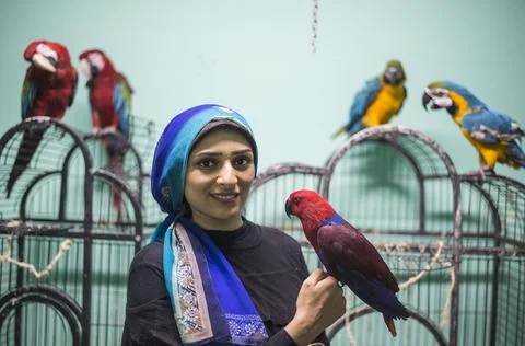 First dedicated parrot training academy, Cairo, Egypt - 08 Aug 2019 Stock Photos