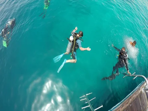 The first dive diver Stock Footage 72771108