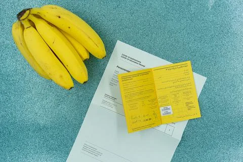 First documents and certification of vaccine covid-19 for travel theme. Stock Photos