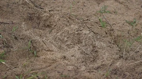 The first drops of rain in the desert 動画素材 69965399