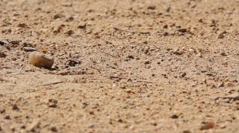 First drops of rain fall on the hot sand Stock Footage 44717754