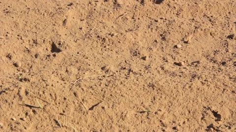 First drops of rain fall on the hot sand Stock Footage 58891247