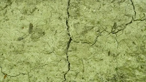 First drops of rain fall on the hot earth Stock-Footage 91160765