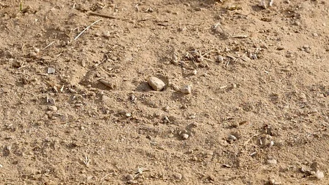 First drops of rain on the hot sand Stock-Footage 104211081