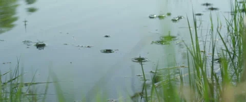 First drops of rain slow motion 1 Stock Footage 50375775