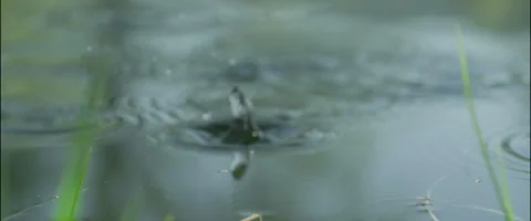 First drops of rain slow motion 動画素材 50579547