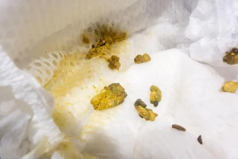 First faces Stock Photos