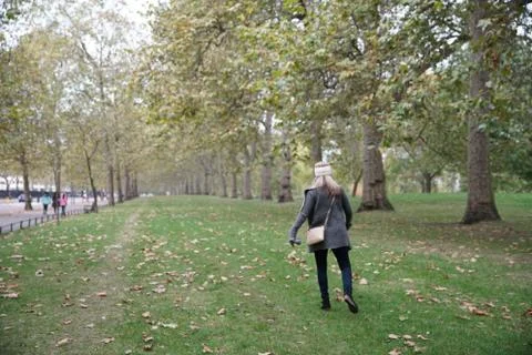 First of fall in the park Stock-Fotos