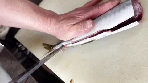 First Fillet Cut along the Fish Spine (Horse Mackerel), Fish Guide Part 9 of 12 Stock Footage 339919109