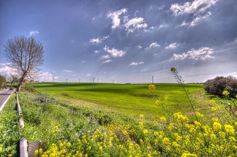 First flowers of spring Stock Photos