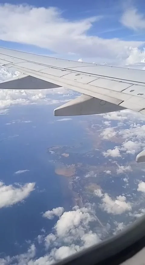 First Fly Stock Footage 231544155