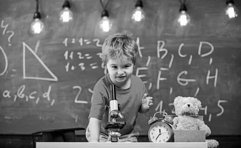 First former interested in studying, learning, education. Kid boy near Stock Photos