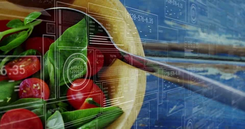 First frame HUD panels hovering above bowl with tomatoes basil, expanding Stock Footage 312904929