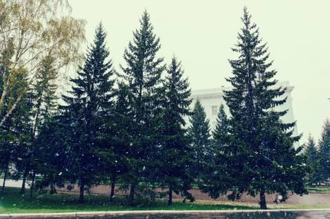 The first frost in the fall. Foto stock