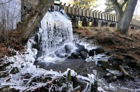 First frost Stock Photos