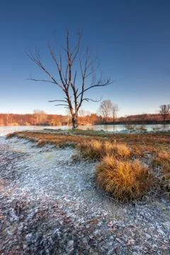 First frost Stock Photos