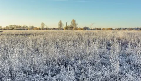 First Frost Foto stock