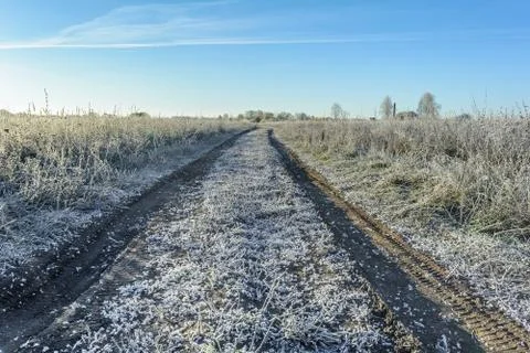 First Frost Stock Photos