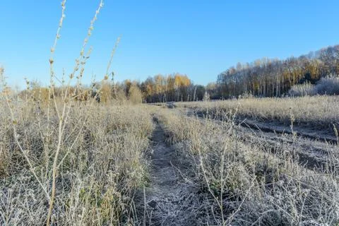 First Frost Stock Photos