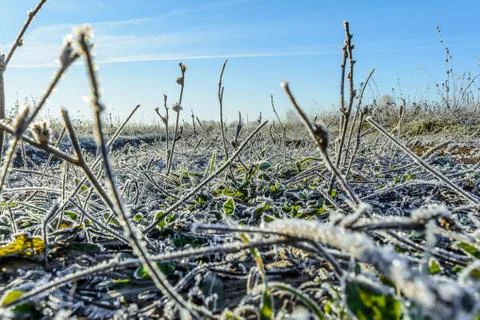 First Frost Foto stock