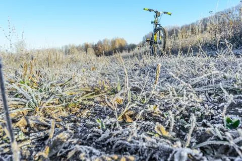 First Frost Stock Photos
