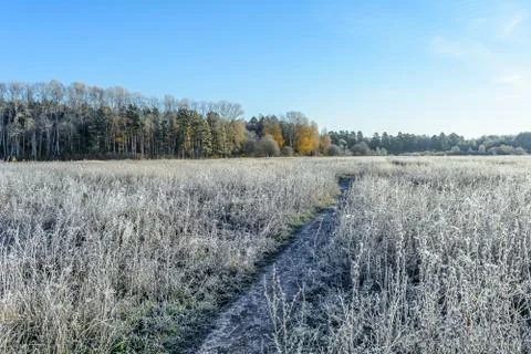 First Frost Stock Photos