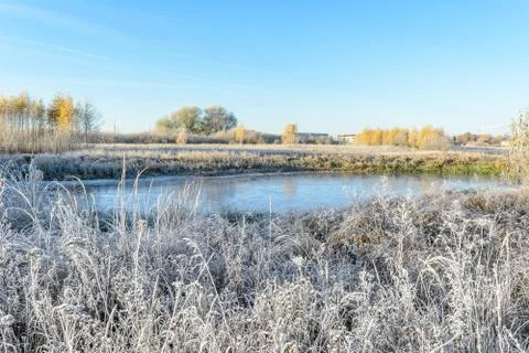 First Frost Foto stock