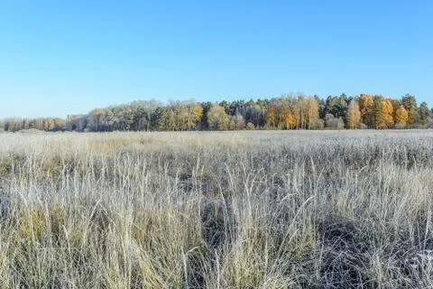 First Frost Stock Photos