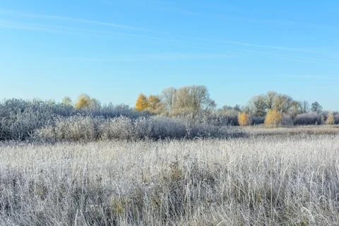 First Frost Stock Photos